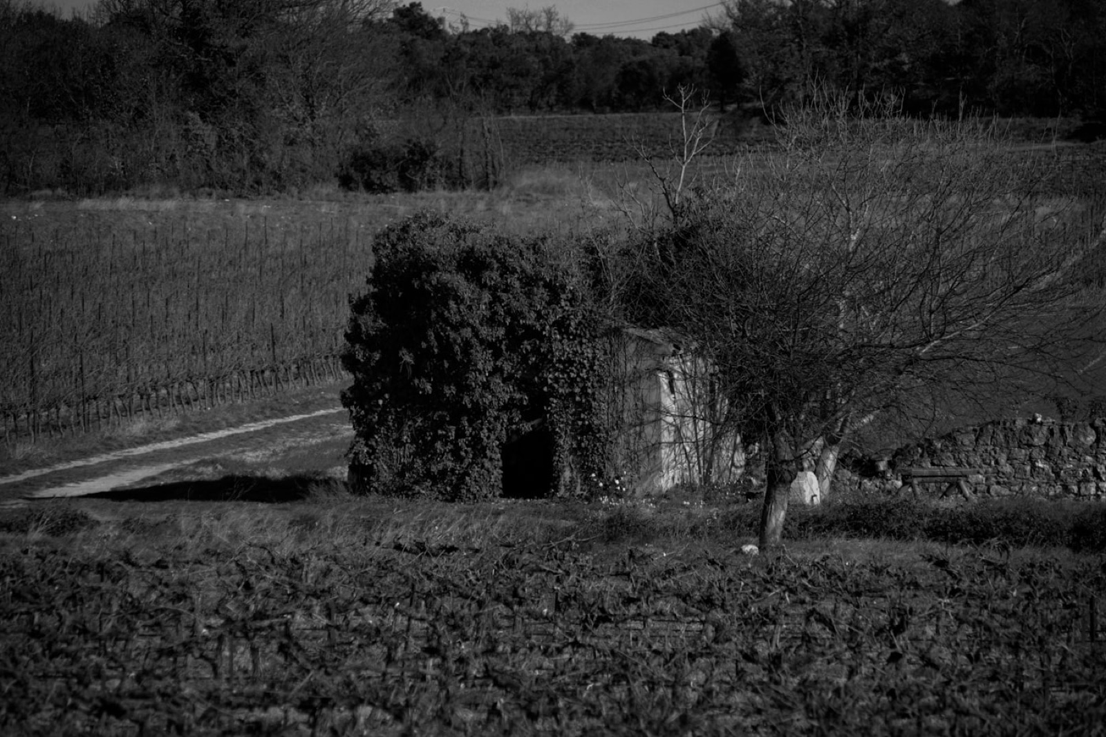 Still — Domaine Arceaux